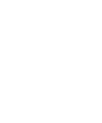 S2 Logo White